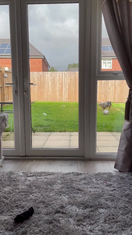 Post 10 by Jaffacakethebully on TikTok (video)