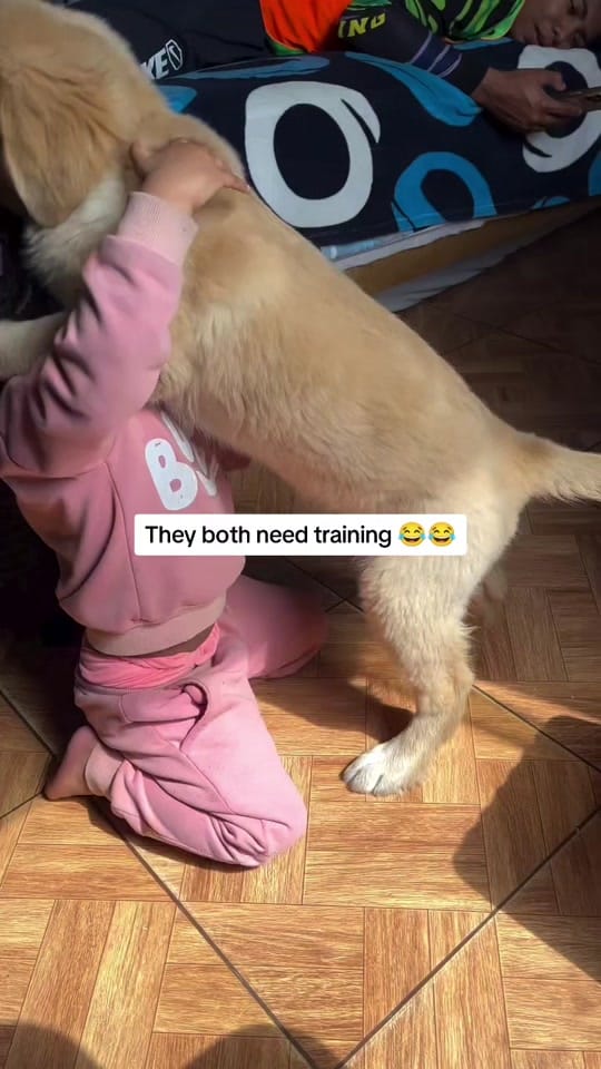 Post 9 by lapslifedoc on TikTok (video)