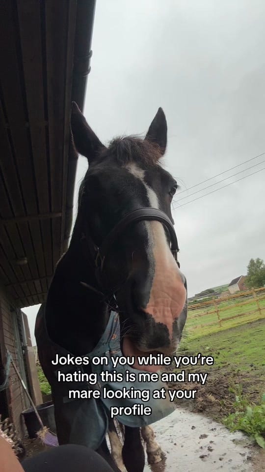 Post 3 by Ashleigh🦄✨ on TikTok (video)