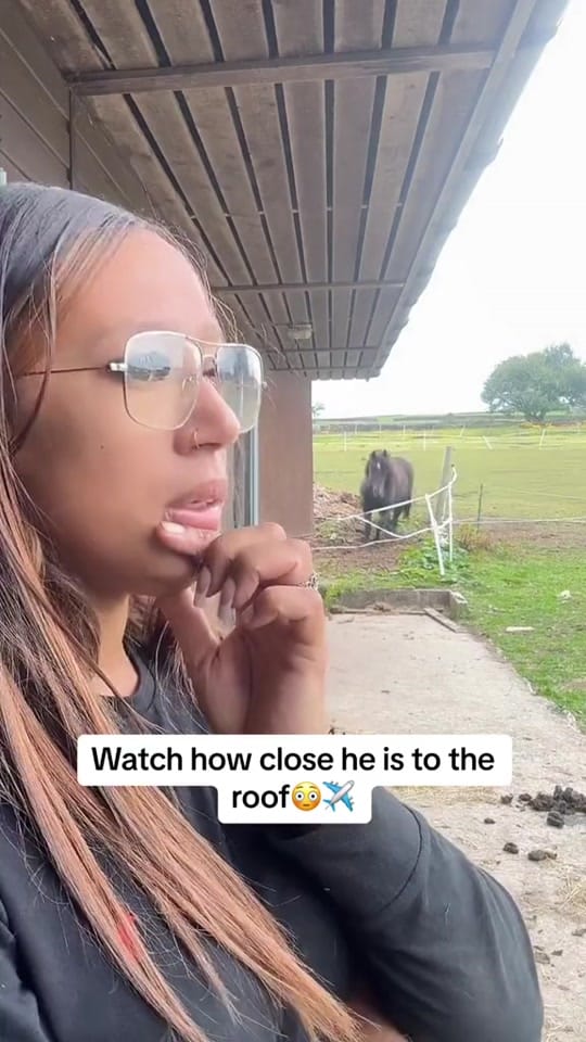Post 9 by Ashleigh🦄✨ on TikTok (video)