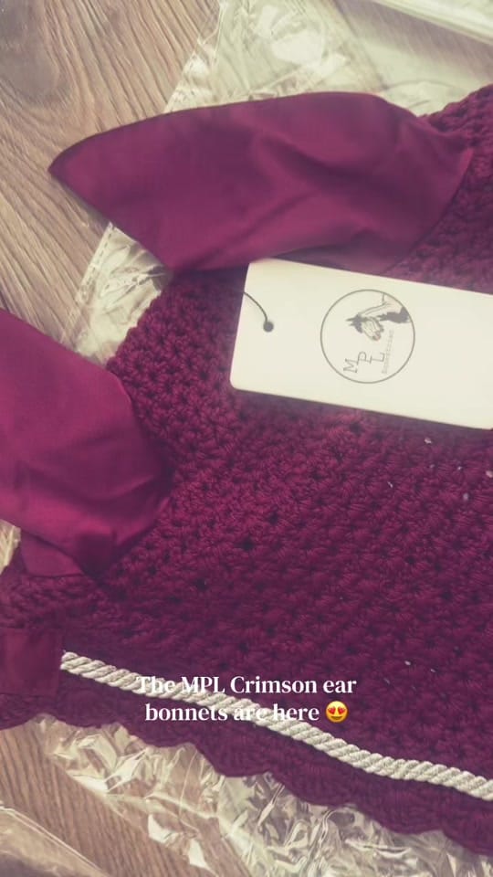 Post 2 by MPL Equestrian on TikTok (video)