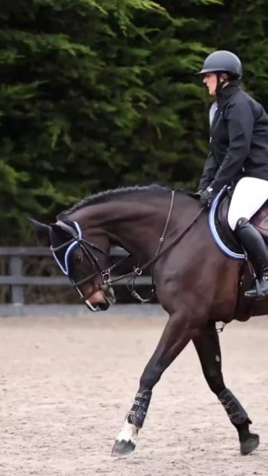 Post 2 by EQUIEIRE on TikTok (video)