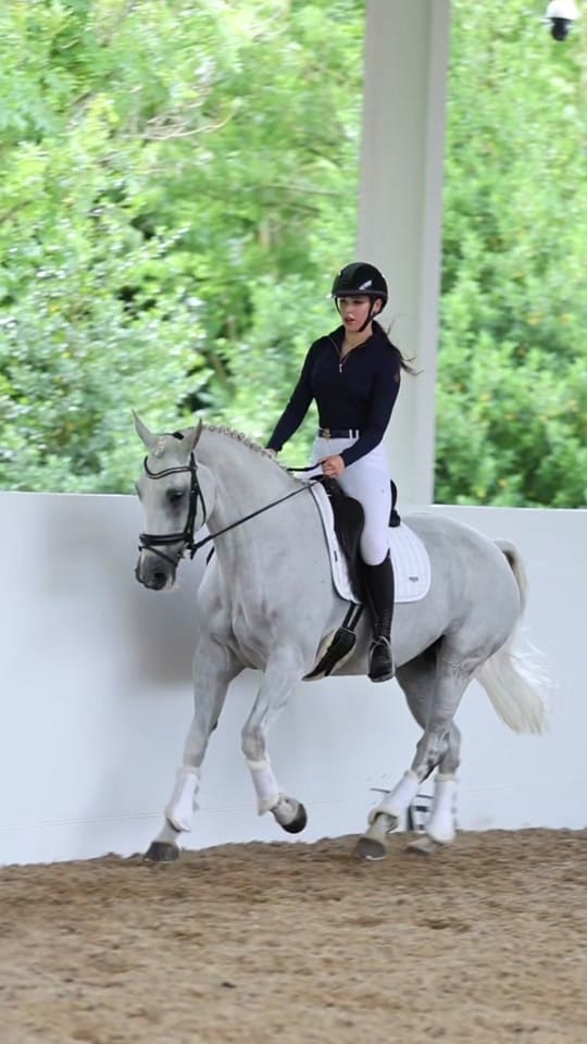 Post 9 by EQUIEIRE on TikTok (video)