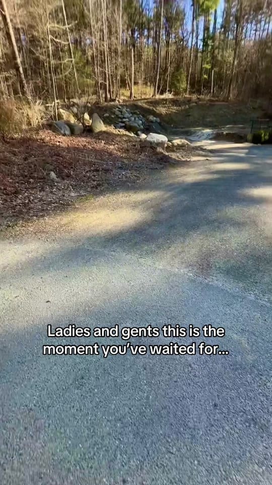 Post 7 by Little Guild on TikTok (video)