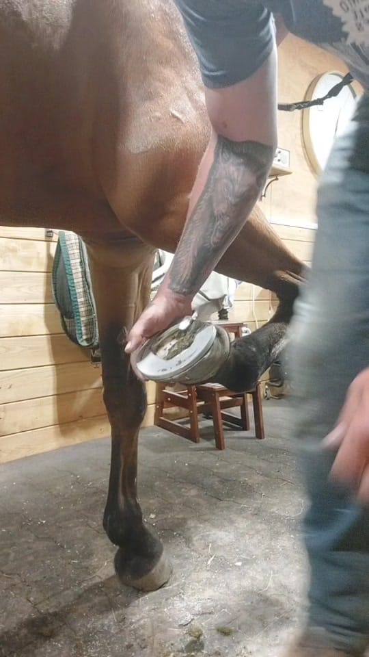 Post 5 by Dylan Hebb-trider on TikTok (video)