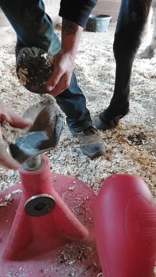 Post 7 by Dylan Hebb-trider on TikTok (video)