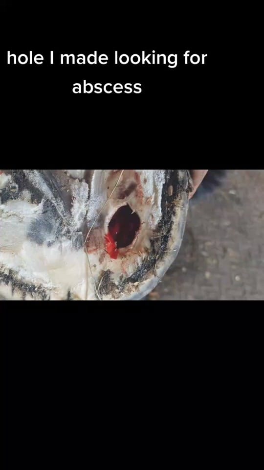 Post 3 by Dylan Hebb-trider on TikTok (video)