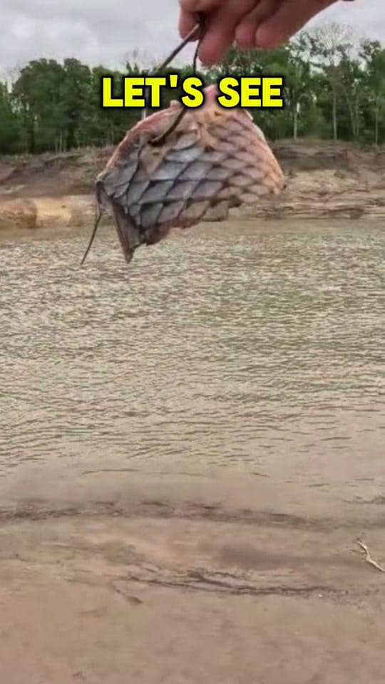 Post 2 by Hunterdubs.fwtx on TikTok (video)