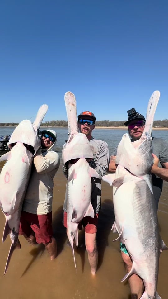 Post 4 by Hunterdubs.fwtx on TikTok (video)