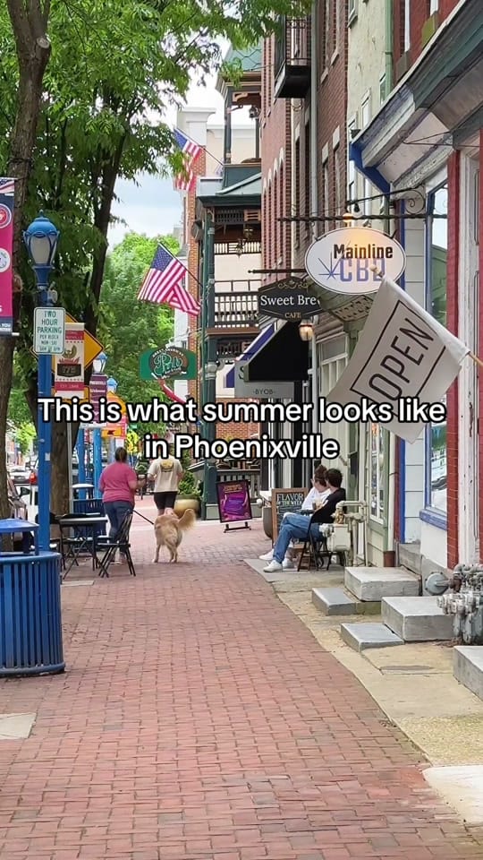 Post 5 by The Main Line Views on TikTok (video)