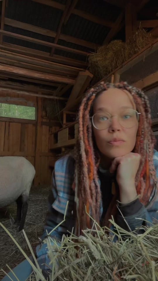 Post 5 by Laura on TikTok (video)