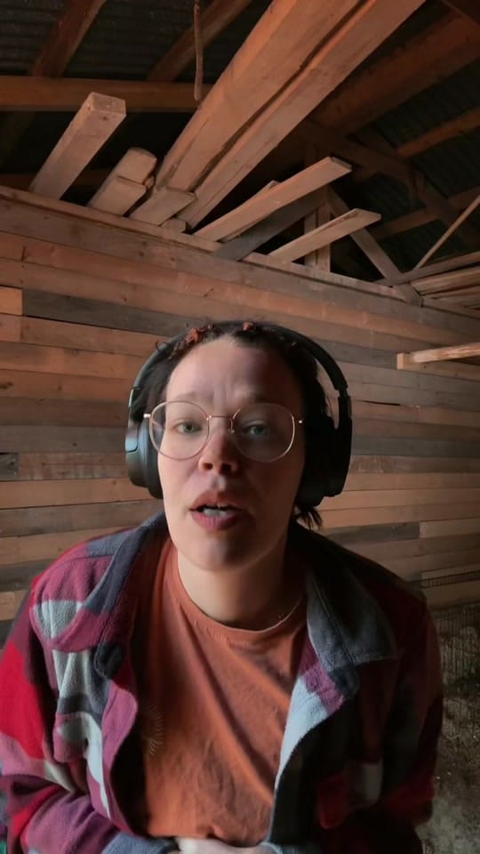 Post 8 by Laura on TikTok (video)