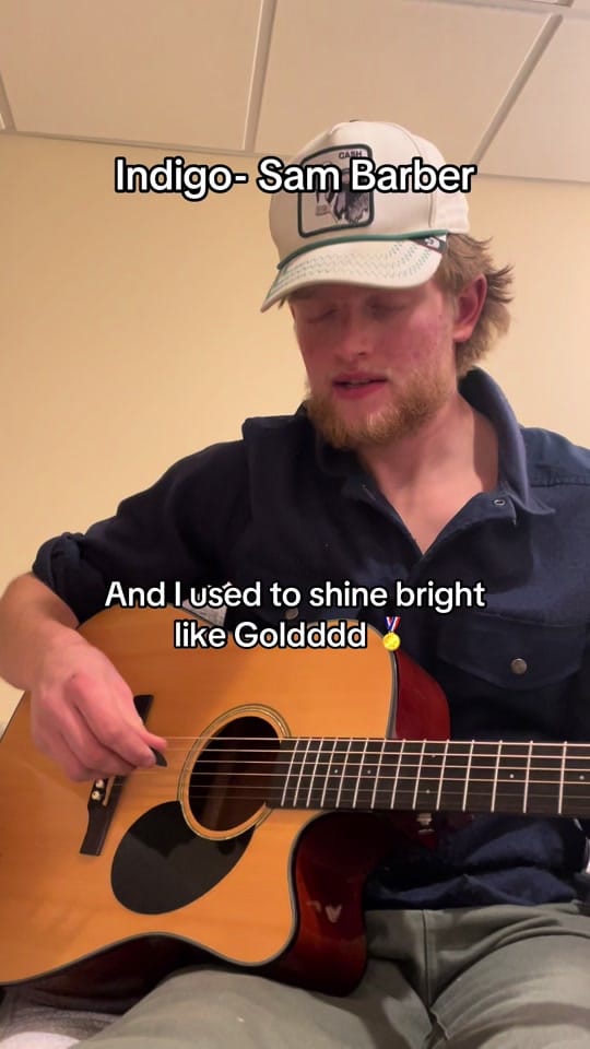 Post 4 by Sebastian Lind on TikTok (video)