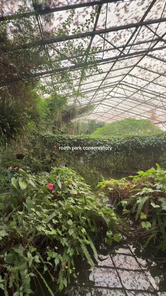 Post 1 by josie🎞️ on TikTok (video)