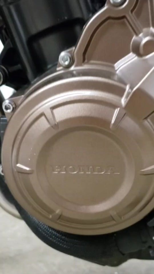 Post 5 by schwoobie on TikTok (video)