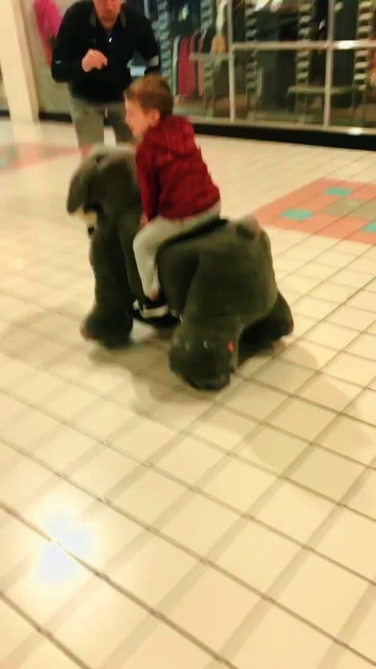 Post 5 by Nunya Biz on TikTok (video)