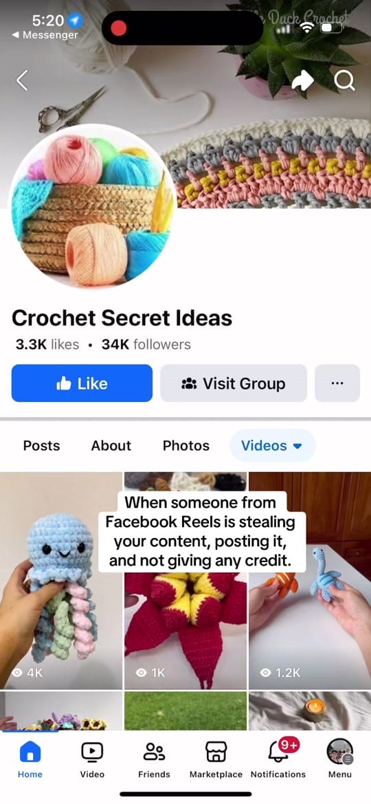 Post 7 by BrisFuzzyFriends on TikTok (video)