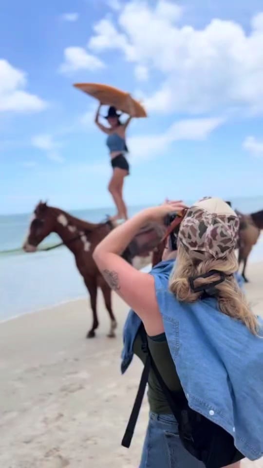 Post 4 by Harlie 🦋 on TikTok (video)