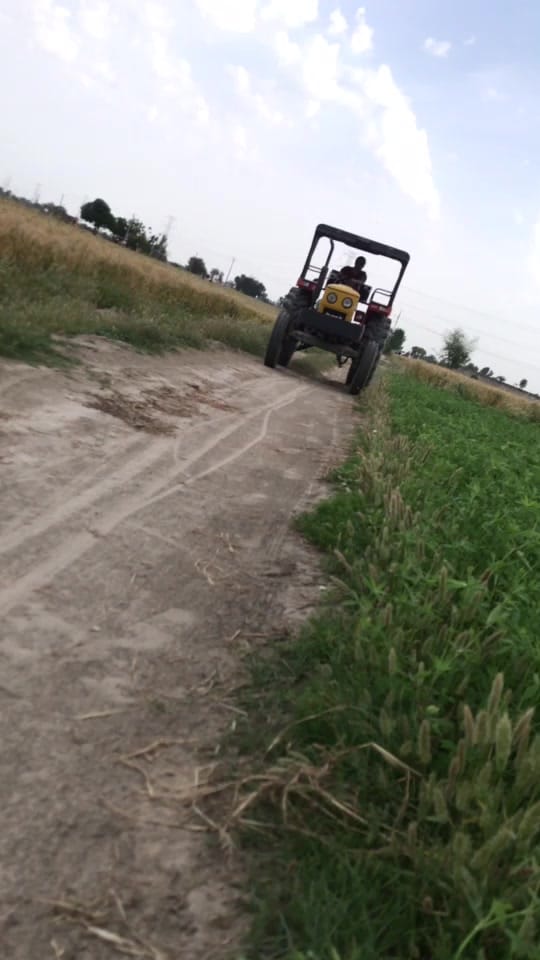 Post 7 by Amp Dhaliwal on TikTok (video)