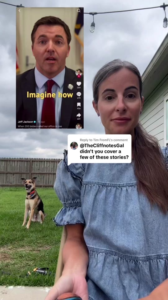 Post 6 by TheCliffnotesGal on TikTok (video)
