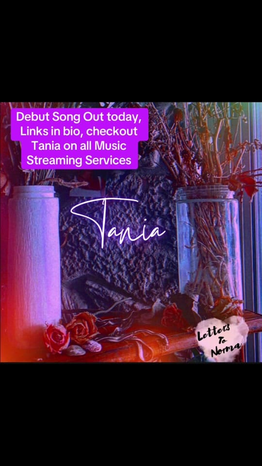 Post 6 by Letters To Norma on TikTok (video)