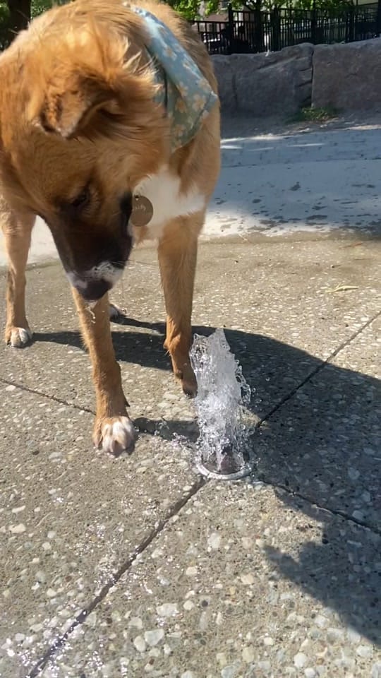 Post 2 by ＨＥＡＴＨＥＲ ＬＵＣＫＨＡＲＴ on TikTok (video)