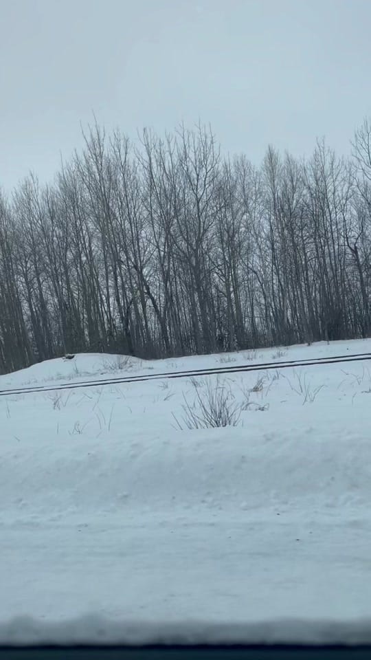 Post 8 by gabe.rvrs 🇨🇦 on TikTok (video)