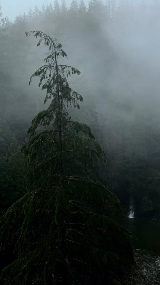 Post 2 by Walid - Outdoor Photography on TikTok (video)