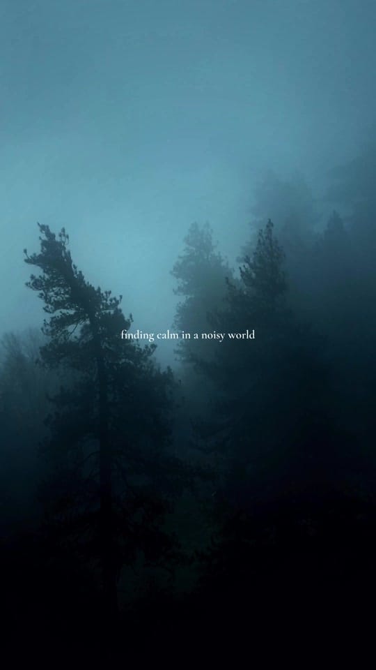 Post 4 by Walid - Outdoor Photography on TikTok (video)