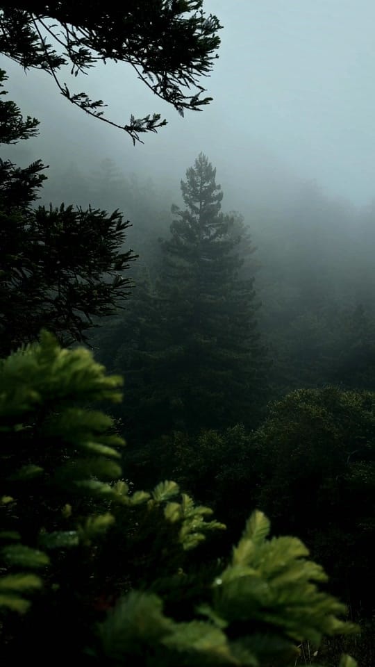 Post 5 by Walid - Outdoor Photography on TikTok (video)