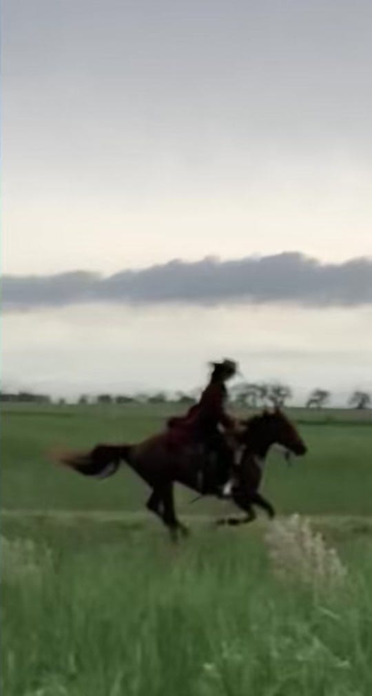Post 10 by Shani LeRoux on TikTok (video)