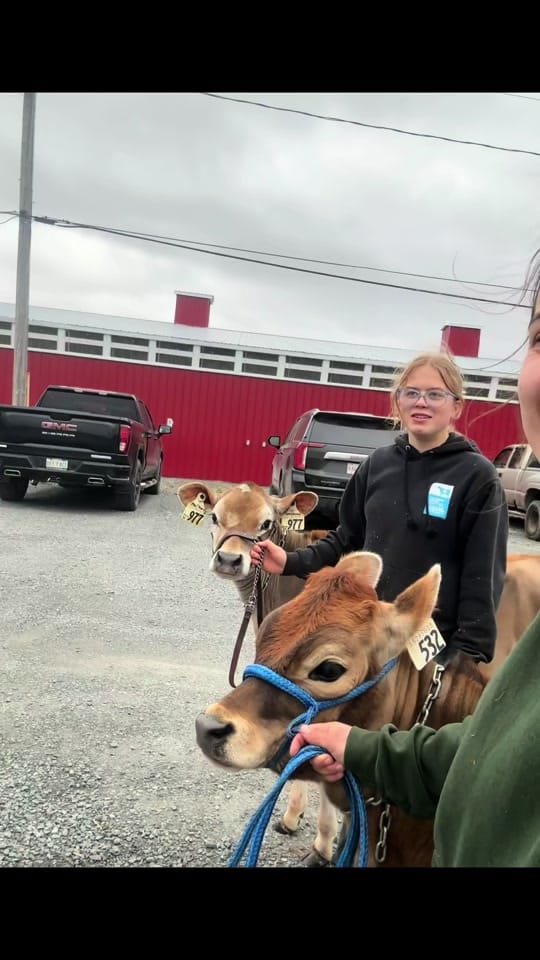 Post 1 by Grant’s Breeder Farm 🐮🐓 on TikTok (video)