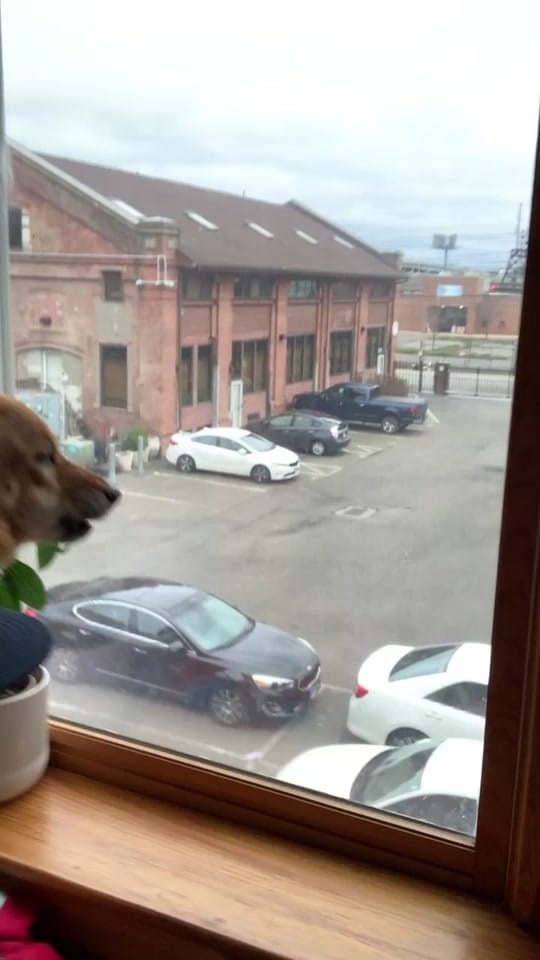 Post 10 by felipe gomez on TikTok (video)