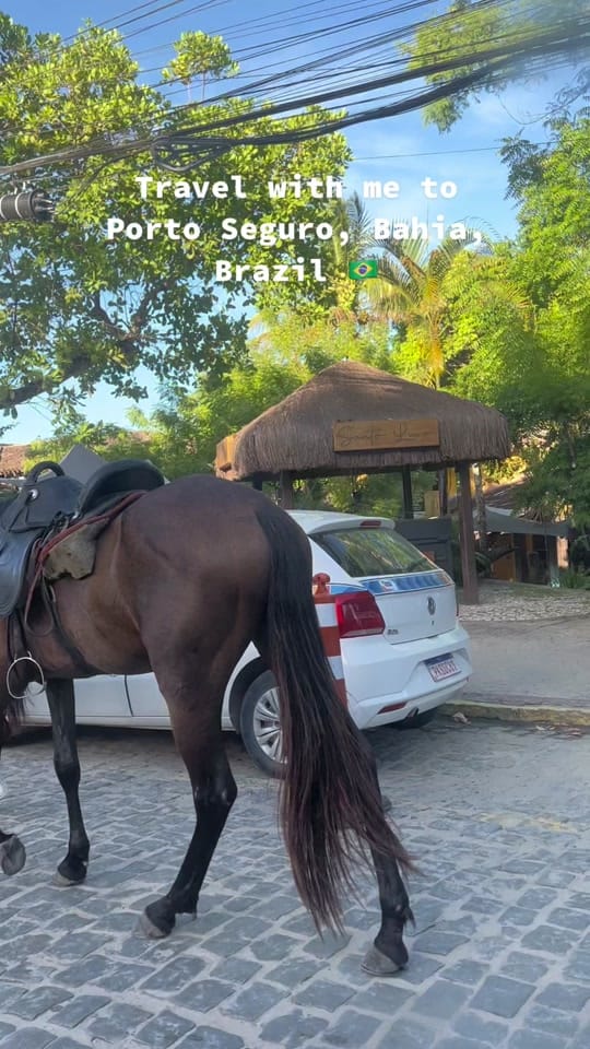 Post 3 by felipe gomez on TikTok (video)