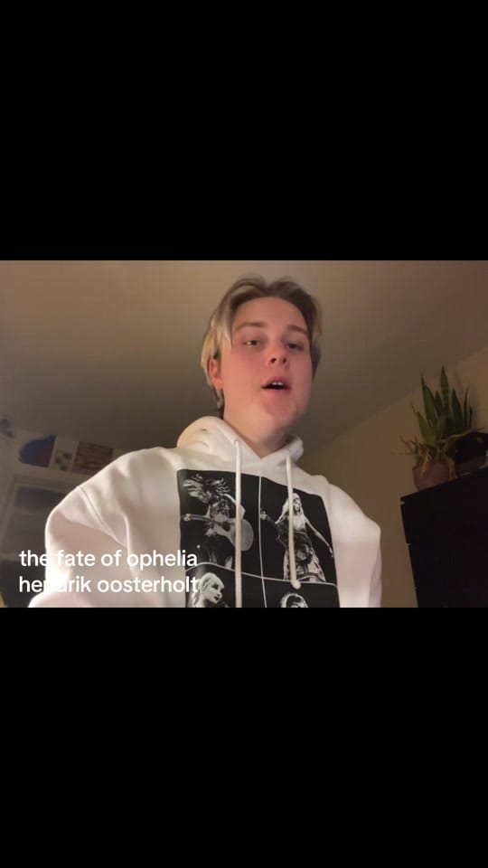 Post 8 by hendrik on TikTok (video)