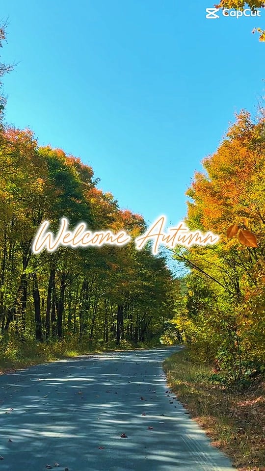 Post 3 by Anjana Grace Prince on TikTok (video)