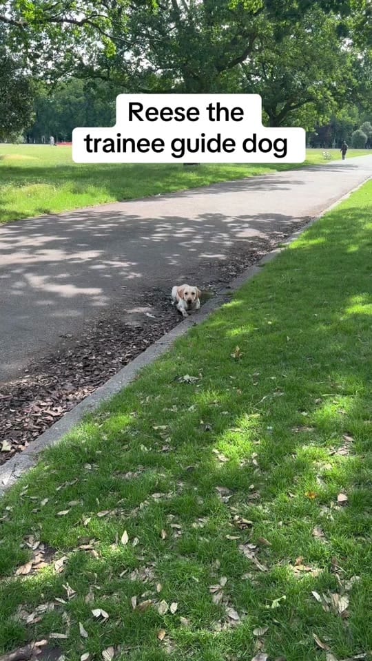 Post 2 by Eugene on TikTok (video)