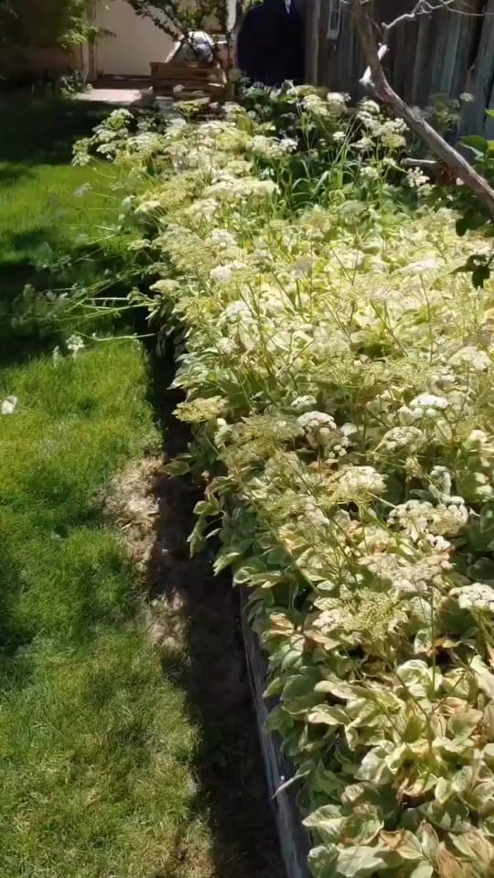 Post 7 by Chase on TikTok (video)