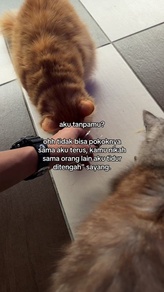 Post 6 by Zul❓ on TikTok (video)