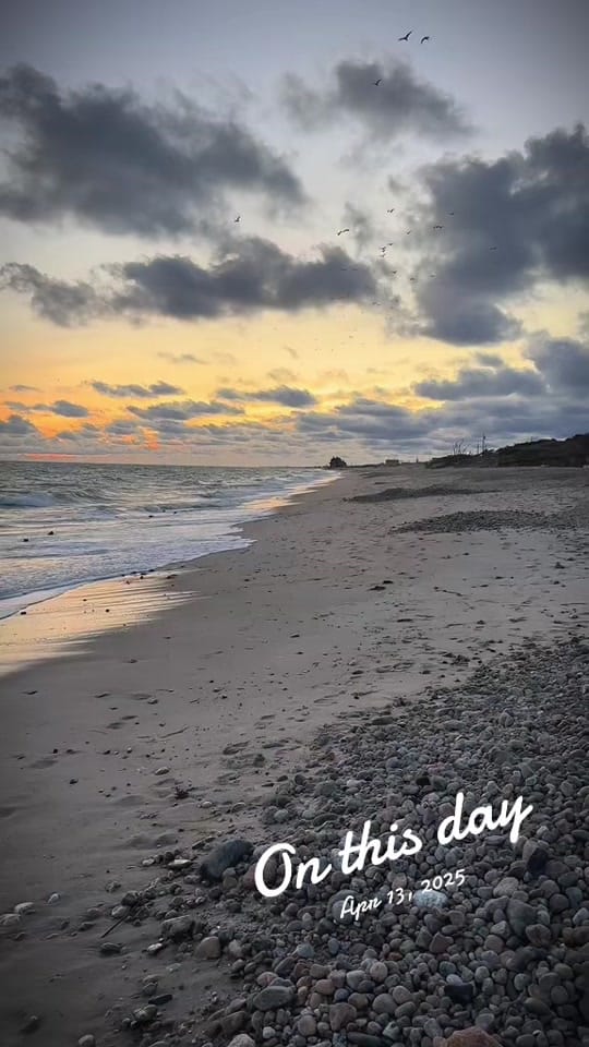 Post 10 by Enigmatic on TikTok (video)