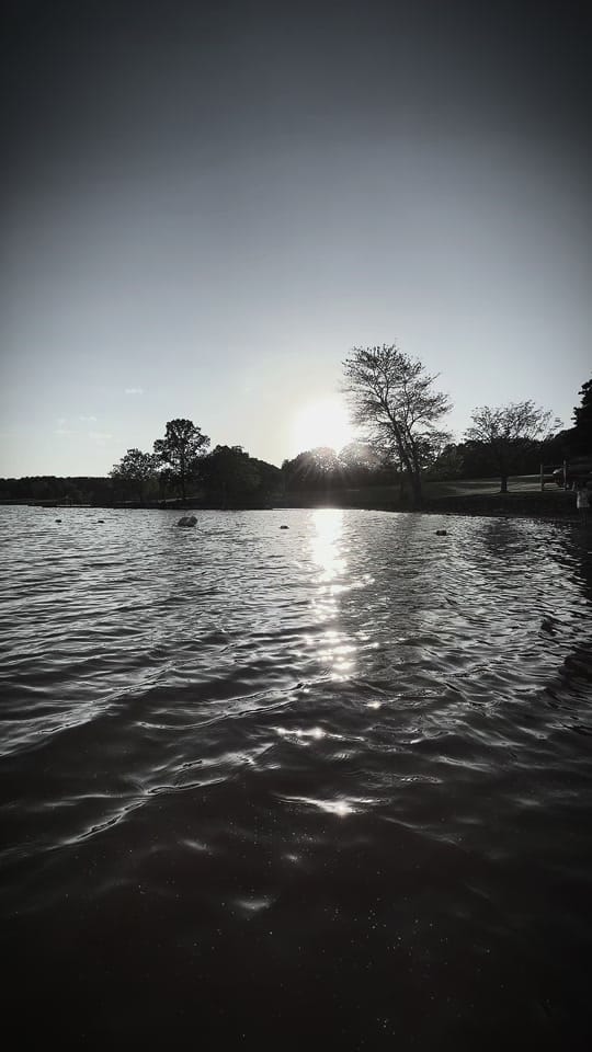 Post 7 by Enigmatic on TikTok (video)