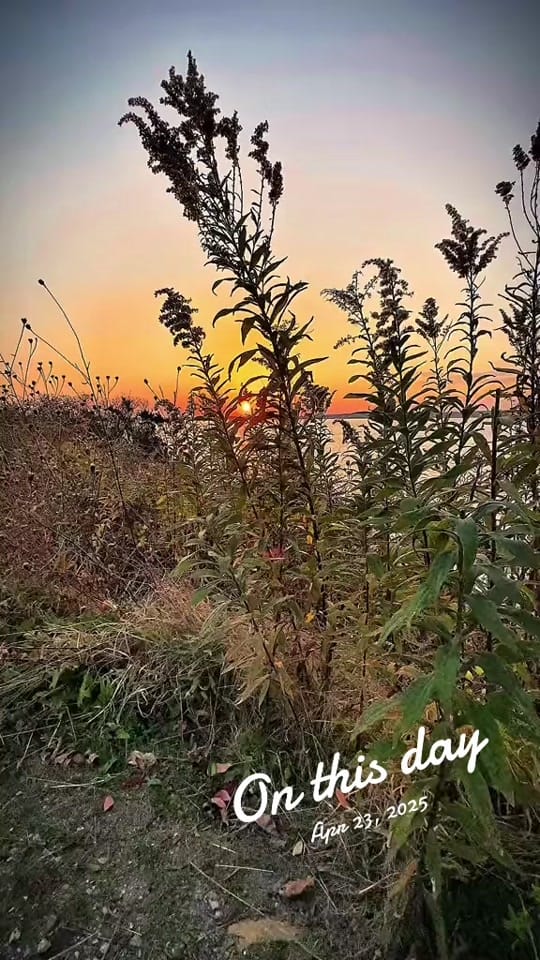 Post 6 by Enigmatic on TikTok (video)