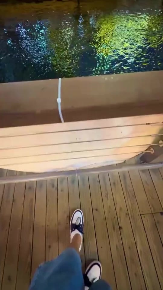 Post 5 by Fasi Zaywari on TikTok (video)