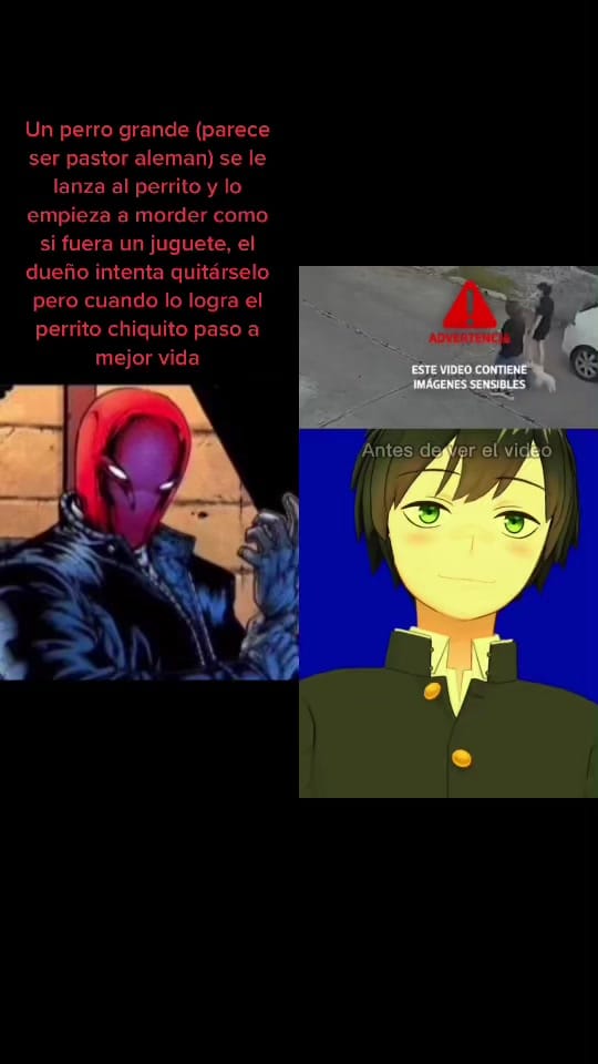 Post 1 by ... on TikTok (video)