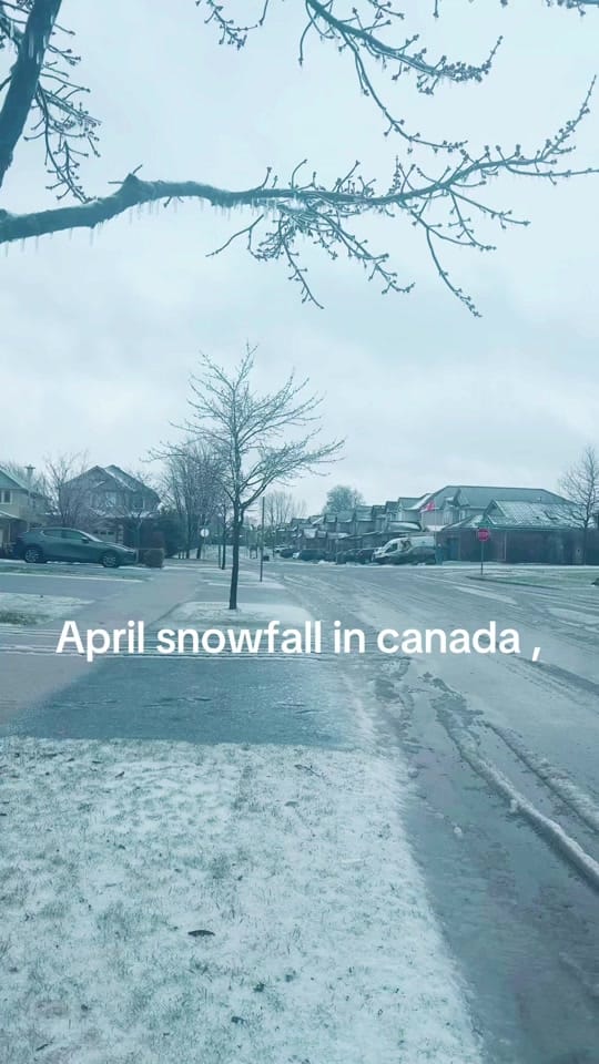 Post 6 by Rebika Katwal on TikTok (video)