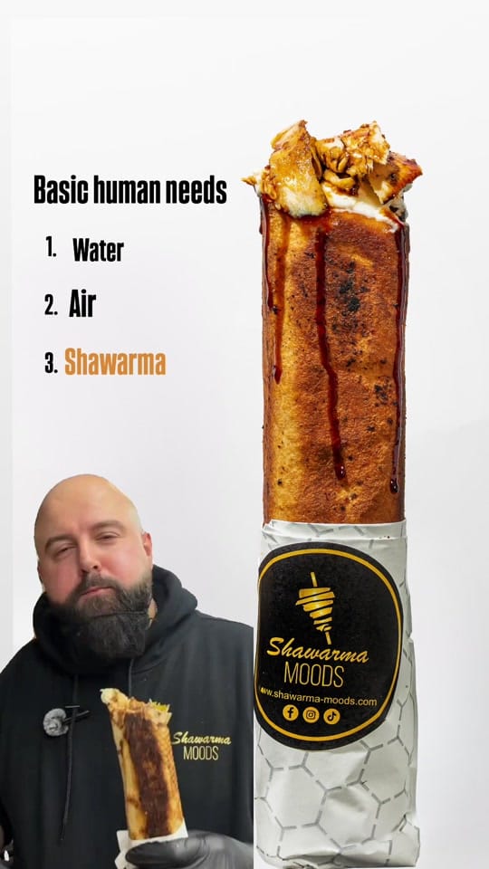 Post 5 by Shawarmamoods on TikTok (video)
