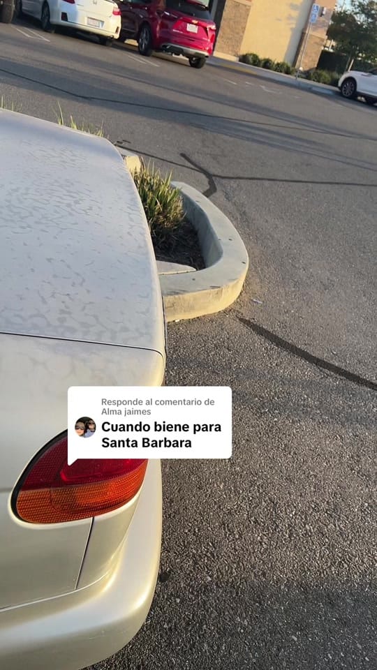 Post 7 by El de guerrero kitchen on TikTok (video)