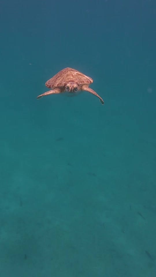 Post 5 by KBCMedia on TikTok (video)