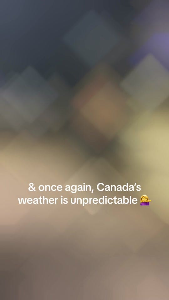 Post 7 by Taran.sran on TikTok (video)
