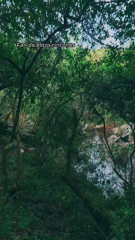 Post 7 by Villa Serrana Ivy Porá on TikTok (video)